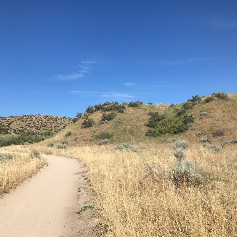 Scrubby scenery with dry grass and a dirt path in Boise.