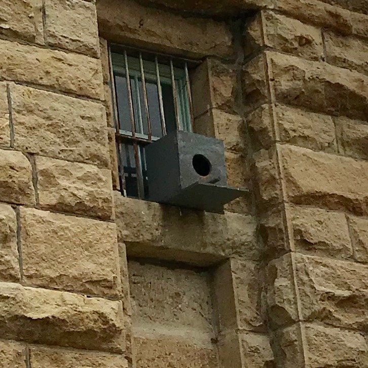 Birdhouse on the outside of a prison window.